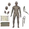 NECA Universal Monsters (Colore Mummia Ultimate 7 Inch Scala Action Figure Esclusivo