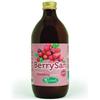 Berrysan puro succo cranberry 500 ml