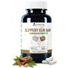 Alzuro Labs Slippery Elm | 8.000 mg equiv. | Alto dosaggio estratto 20:1 400 mg | 90 capsule vegane | Olmo rosso - Ulmus rubra | GMP & Testato da Laboratorio Indipendente