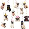 POMNUG 24 Pcs Pcs Pug Appeso Vortice Pug Spirale Coperta Vortice Decorazioni Pug Decorazioni Da Appendere Per Pug Cane Decorazioni Compleanno Accessori Festa