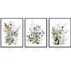 Dazzlewall Set di 3 Stampe Piante Botaniche, Poster Floreale Acquerello Verde Salvia per Camera e Bagno, 30x40 cm Senza Cornice