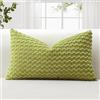 JOTOM Federe per Cuscino in Velluto a Coste Morbido 40x60 cm Federe per Cuscino con Texture a Bolle 3D per Divano, Camera da Letto, Decorazione della Casa (Verde)
