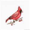 LUCAS Luca-S B1156 Cardinal - Schema punto croce in cotone, 10 x 9 cm, multicolore