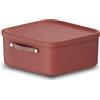 Rotho Maloja Scatola di stoccaggio 20 l, Plastica (PP riciclato), 20 (39.5 x 38.0 x 17.7 cm)