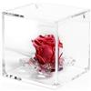 DC DEBORA CARLUCCI Debora Carlucci Rosa Stabilizzata Vera con 4 Petali in Cristallo Eterna in Cubo Idea Regalo Donna Compleanno Anniversario Matrimonio Festa della Mamma Bomboniera Blu-Bianco-Rosa-Rossa (Rosso)