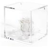 DC DEBORA CARLUCCI Debora Carlucci Rosa Stabilizzata Vera con 4 Petali in Cristallo Eterna in Cubo Idea Regalo Donna Compleanno Anniversario Matrimonio Festa della Mamma Bomboniera Blu-Bianco-Rosa-Rossa (Panna)