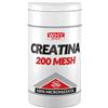 Why Sport Creatina 200 Mesh 500 Grammi