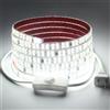 pcning Strip LED SMD 2835 240 LEDS/M 220V 5 Metri IP65 Impermeabile Striscia, 5M Doppia Fila Strisce LED 220 Volt da Interno con Interruttore Bianco Freddo 6000K (Bianco Freddo, 5M)