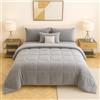 Masters House Biancheria per la Casa Master House Trapunta Piumone Matrimoniale Singola Piazza 1/2 in Morbido e Caldo Velluto per Camera da Letto Elegante e Confortevole (Grigio Chiaro, Matrimoniale 260x265 cm)