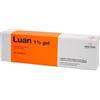 Molteni Farmaceutici Molteni & C. F. Lli Alitti Luan 1% Gel Anestetico 100 g