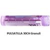 Boiron Pulsatilla Boi 30ch 80gr 4g