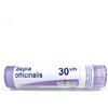 Boiron Sepia Officinalis 30 Ch Globuli