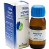 Boiron Ribes Nigranulium Gemme Macerato Glicerico 60 Ml
