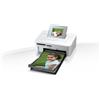 Canon Stampante Fotografica Selphy Cp1000