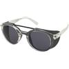 Alpina Glace Transparent Gloss/Black | Occhiali da Sole Graduati o Non Graduati | Plastica | Panthos | Nero | Adrialenti