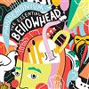VIDB1 Pandemonium: The Essential Bellowhead