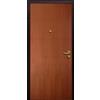 Master Porta blindata MASTER FORTIKA L 90 x H 210 cm noce apertura a destra