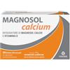 Magnosol - Calcium polvere effervescente 20 bustine