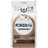 Forza10 FORZA 10 DIET ACTIVE LINE INTESTINAL COLON FASE 1 4 KG.