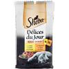 SHEBA DÈLICES DU JOUR POLLO & TACCHINO IN SALSA 6 x 50 GR.
