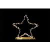 ARPIMEX Decorazione Stella di Natale con Base 40 x 6 x 38 Cm con 100 Led Luce Calda
