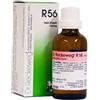 R56 gocce 22ml - - 909462689
