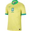 Nike Men's Top CBF M Nk DF Stad JSY SS HM, Dynamic Yellow/Lemon Chiffon/Green Spark, FJ4284-706, 2XL