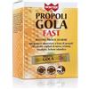 Winter Propoli Gola Fast Bustine 150 ml Polvere per soluzione orale