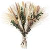 Larber 75pezzi Decorazione con Fiori Secchi di Pampa Boheme Assortimento di Fiori Secchi di Pampa Naturali Decorazione per Matrimoni Salotto Tavolo da Pranzo Decorazione Rustica per Feste in Fattoria