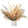 Anlising 120PCS Decorazione di Erba di Pampas Essiccata, Pampa Naturale, Fiori Secchi Decorativi, Erba di Pampa Essiccata, Pompas Marroni, Erba della Pampas Decorative, per Matrimoni, Camera da Letto