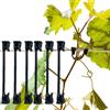QIXIN Pomodoro, uva, lampone, kiwi vite clip di supporto per piante da giardino clip per verdure gancio fisso per piante fibbia per viti adatta per filo 9 # -12 # (200)
