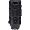 Fujifilm Fujinon XF 100-400 mm F4.5 - 5.6 R LM OIS WR + 1.4x WR Teleconverter MI