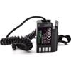 PATONA Dummy Batteria USB-C per Panasonic DMW-BLK22 e DMW-BLF19 (9416) - sostituisce DMW-DCC12 DMW-DCC17 - per Lumix DC-S5 S9 G9 GH5 GH5S GH6 - alimentazione continua da powerbank - cavo a molla 40cm