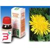 SPECCHIASOL SRL TARASSACO 28 50ML TM