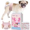 DONO Pannolini per Cani Femmina, 10 pezzi, Pannolino Cane Femmina, Mutandine per il calore, pannolini per gatti incontinenti, super assorbenti, incontinenza, M (25-45 cm)