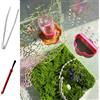 Heyshapeing Jumping Spider Kit - Dispenser d'acqua magnetico da appendere e mangiatoia con spazzola per la pulizia e pinzette, 8 ml, ideale per ragni che saltano, animali arborei e piccoli animali