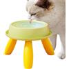 Xvilmaun Ciotola per acqua di gatto elevata - Piatti per cani rialzati - Ciotole da alimentazione di gatti anti -vomito | Per i gatti interni Whisker Affaticamento, proteggere la colonna vertebrale, non slip