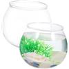 PHENOFICE 2 Pezzi Vaso Rotondo Boccia Per Pesci Acquario in Plastica Piccolo Terrario Da Tavolo Per Allestimento Acquario Per Pesci Rossi