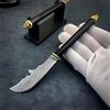FARDEER Knife Outdoor Camping QH13, Outdoor Camping Survival Hunting, Damascus Steel Knife