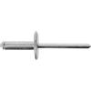 Restagraf Rivetto in Alluminio a Testa Larga, 4,8 x 16 mm, Supporto e assorbitore dello Scudo (Confezione da 20 Pezzi)