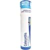 BOIRON SRL COLOCYNTHIS 30CH GR