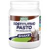 Why Nature Sostitutivo Pasto 480gr