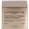 Collagenina Labo Collagenina Crema Collo 6 Collageni Grado 2 50 Ml