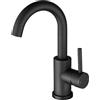 ZYNUHMO Rubinetto da bagno, rubinetto da bagno/cucina, girevole a 360°, miscelatore monocomando, in acciaio inox, nero