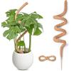 SPROUTMAVEN Totem di Cocco Pieghevole, SproutMaven 1 x 160cm Bastone di Muschio Supporto per Piante Rampicanti Paletti di Piante Sottili Fatti a Mano per Piante da Interno