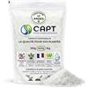 CAPT Super Hydro - Contenitore d'acqua per piante interne ed esterne, 400 grammi