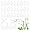 Yoosso 120 PCS Clip per Piante, 2 Misure Piante da Giardino Clip Parete per Piante Autoadesiva per Piante Rampicanti Organizer per Cavi a Traliccio