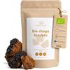 smaints Funghi Chaga biologici - Collezione Wild dalla Finlandia - per tè Chaga in qualità biologica - Naturali, non trattati e privi di sostanze nocive - 100 g