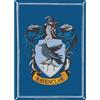 Half Moon Bay Targa in latta piccola - Harry Potter (Ravenclaw)
