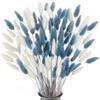 NCOALE 120 fiori secchi, erba della pampa artificiale, decorazione piccola pampa, erba boho a coda di coniglio, per soggiorno, decorazione di fiori artificiali e matrimoni (bianco e grigio-blu)